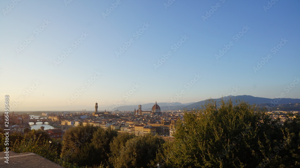 Firenze landscape in Italy