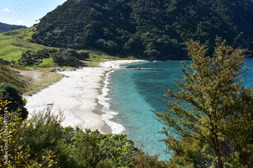 View of white sand and clear sea of Smugglers Bay from Bushby Head near Whangarei on sunny day. photo