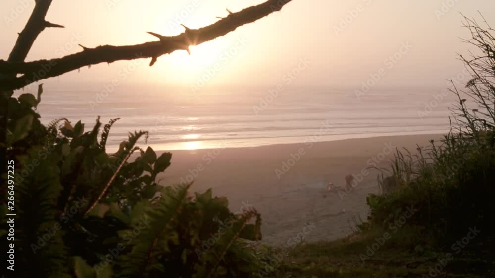 Sunset on a beautiful beach with abundant vegetation near the coast Sunset on a beautiful beach with abundant vegetation near the coast