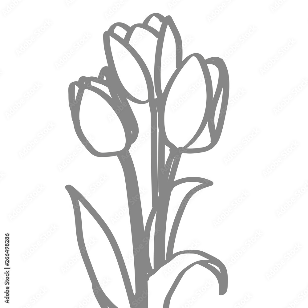 Obraz premium Handgezeichnete Tulpen in grau