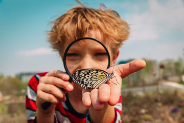 boy looking at butterfy, kids learning nature