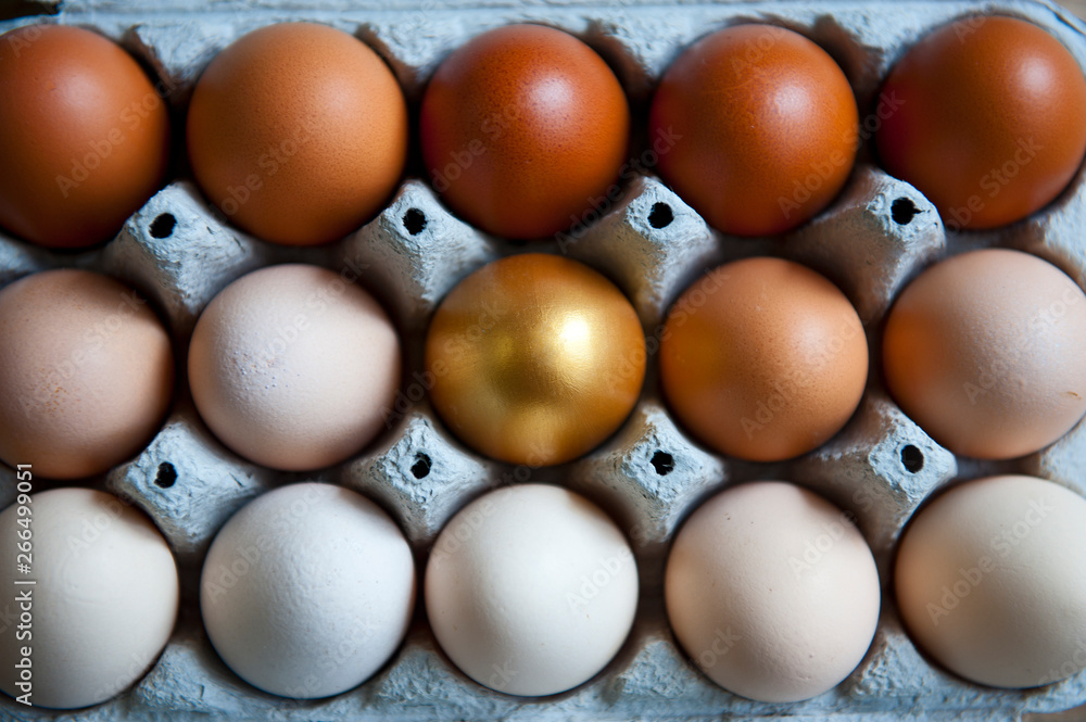 Chicken eggs are arranged in a gradient color tone and gold color in eco cartoon Chicken eggs are arranged in a gradient color tone and gold color in eco cartoon