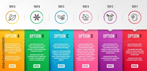 Mint leaves, Leaves and Snowflake icons simple set. Sea mountains, Dirty water and Water drop signs. Mentha herbal, Grow plant. Nature set. Infographic template. 6 steps timeline. Business options
