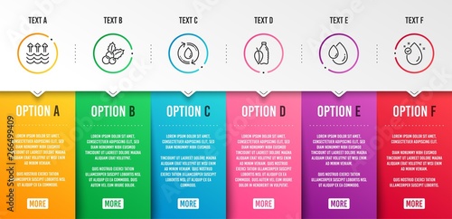 Refill water, Christmas holly and Oil drop icons simple set. Water bottle, Evaporation and Vitamin e signs. Recycle aqua, Ilex aquifolium. Nature set. Infographic template. 6 steps timeline. Vector