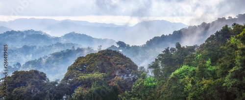 Tropical rainforest of Nyungwe National Park,Rwanda photo