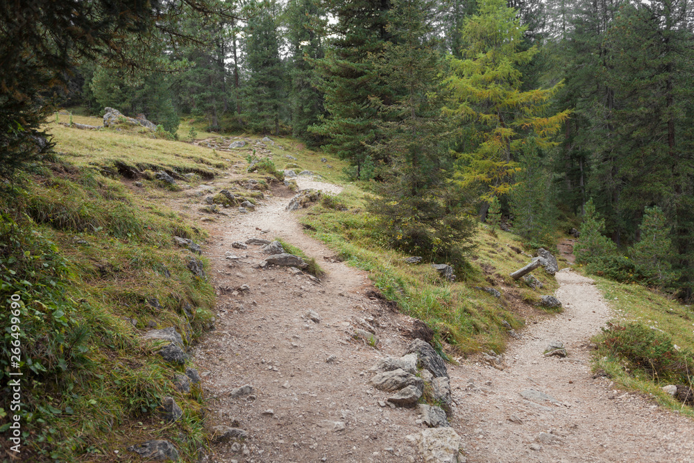 A single mountain path splits in two different directions. It's an autumnal cloudy day. A single mountain path splits in two different directions. It's an autumnal cloudy day.