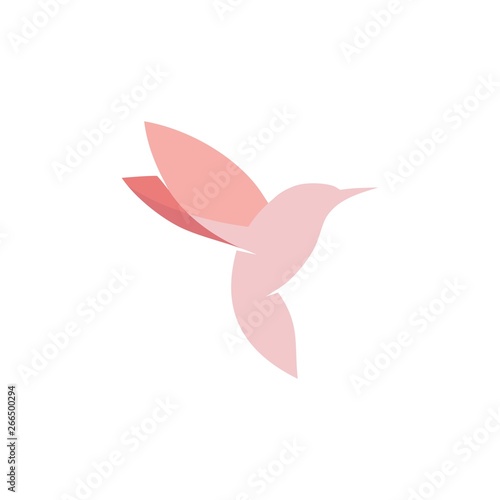 Pink Bird logo design