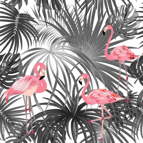 Tropical plant seamless pattern, pink flamingo and black and white tropical leaves of palm tree.