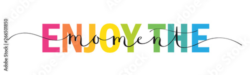 ENJOY THE MOMENT mixed typography banner with brush calligraphy