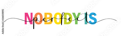 NOBODY IS PERFECT mixed typography banner with brush calligraphy