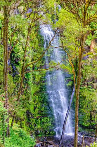 Erskine Falls - Lorne photo