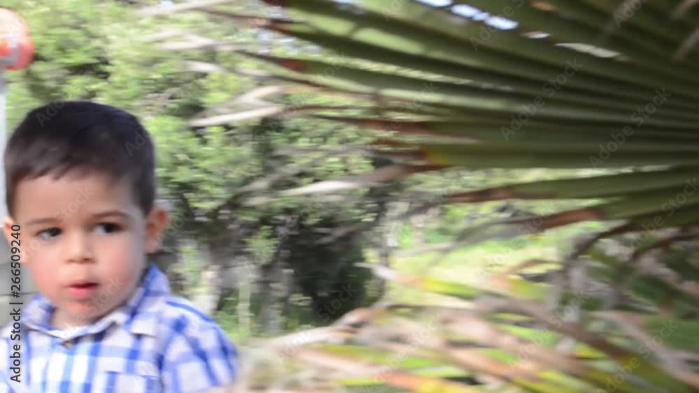 cute two years old boy hiding behind small palm tree cute two years old boy hiding behind small palm tree