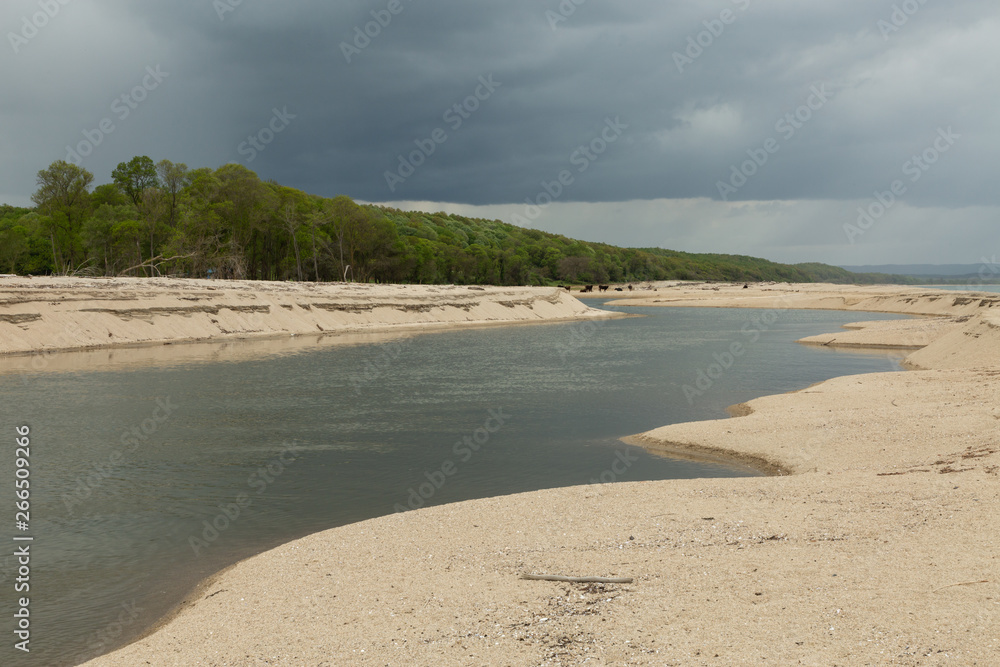 coast of the Black Sea at İğneada where the wetlands meet the sea coast of the Black Sea at İğneada where the wetlands meet the sea