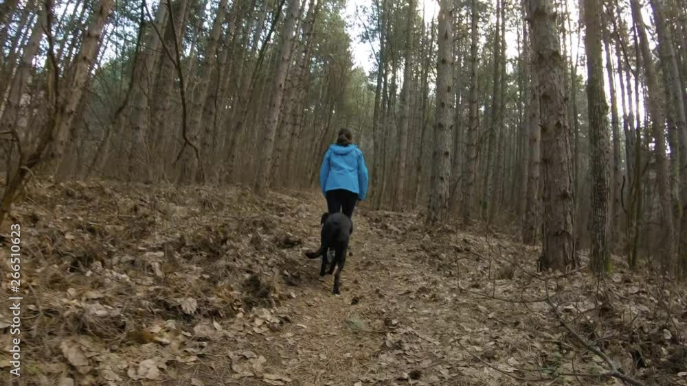 Girl walking in mountain trail in forest with black dog. View from the back Girl walking in mountain trail in forest with black dog. View from the back
