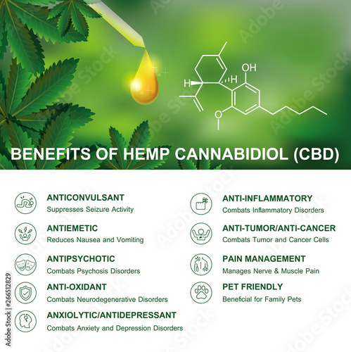 benefits of hemp cannabidiol cbd is infographic on white and nature background.