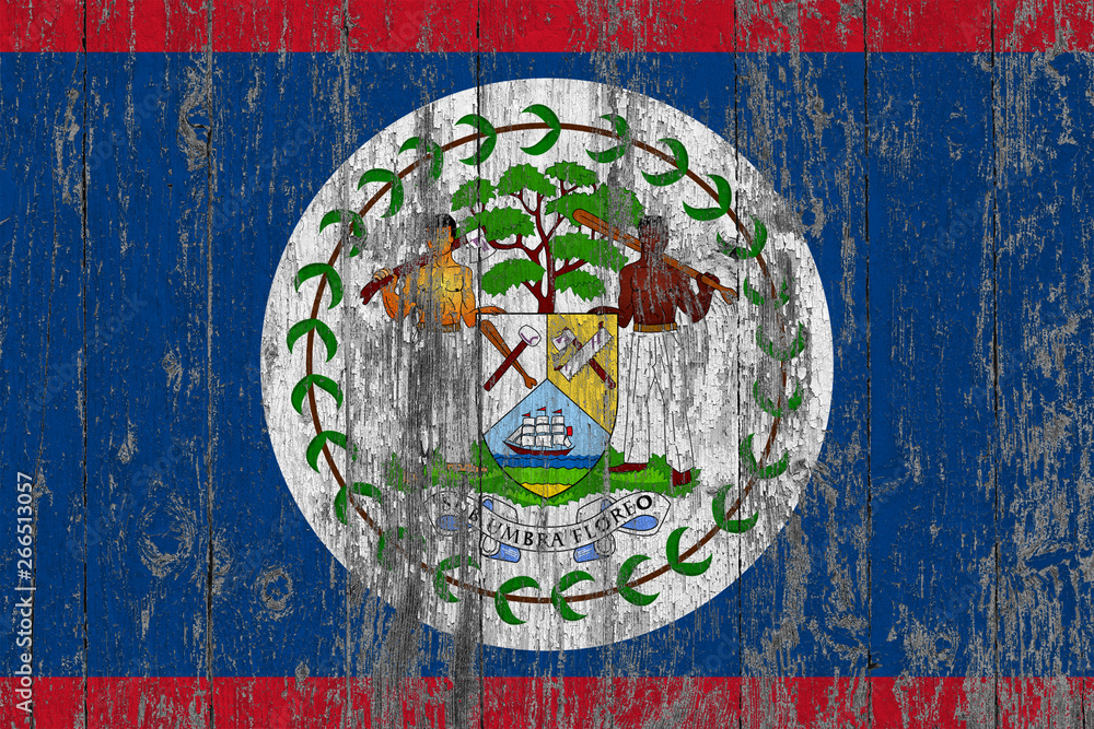 Obraz premium Flag of Belize painted on worn out wooden texture background.