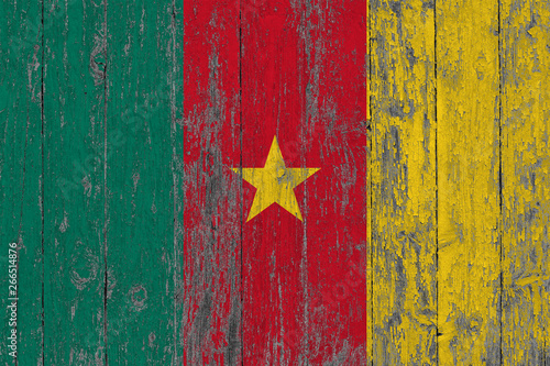 Flag of Cameroon painted on worn out wooden texture background.