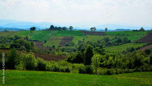 landscape with green fields and hills