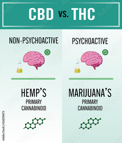 The difference between CBD  and THC that affects the human body and brain.
