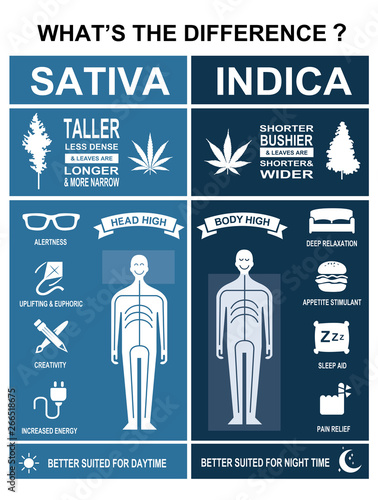 The difference of leaf cannabis sativa and indica