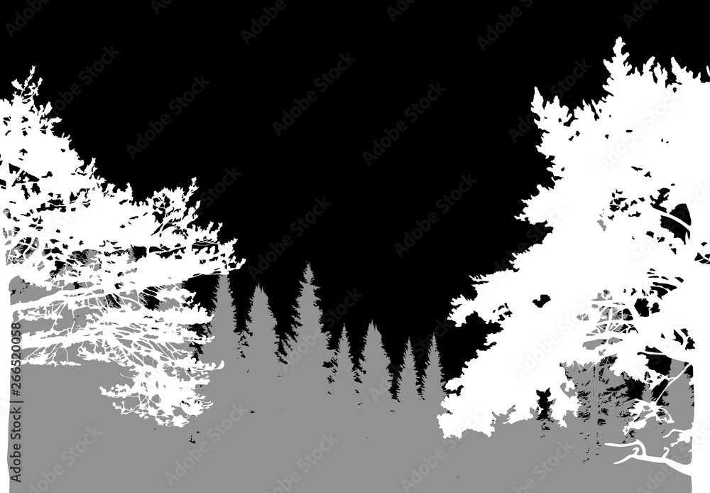 Obraz premium white two pines in grey forest illustration
