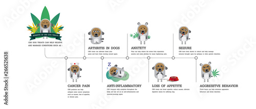 your dog benefits cbd of effect your dog receptors pet, vector infographic on white background