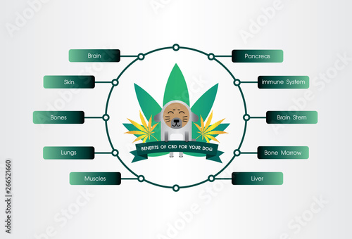 benefits of cbd for your dog