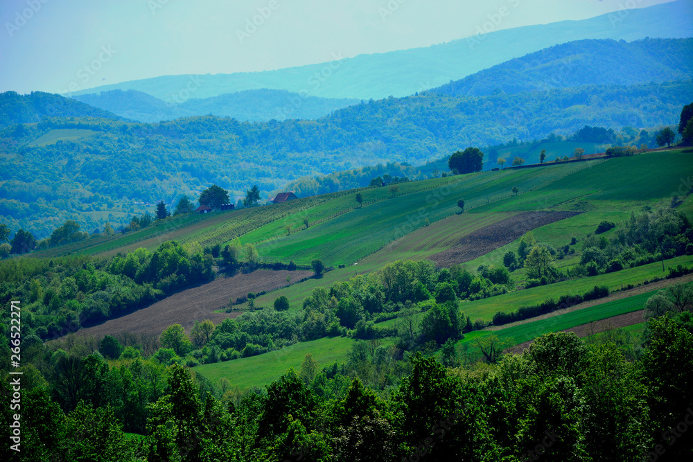 Obraz premium view of rural landscape