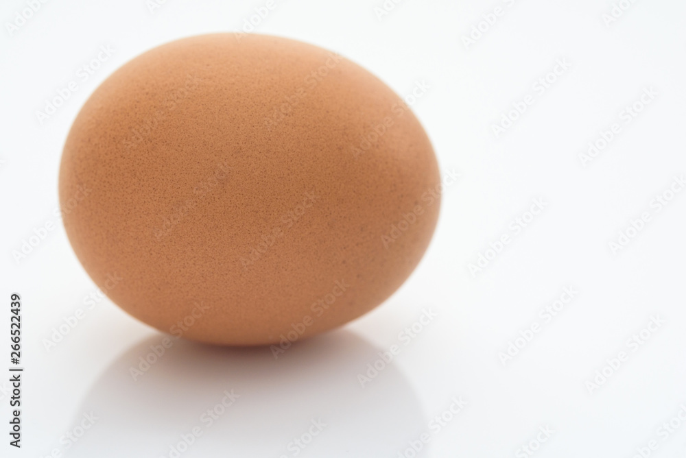 chicken egg on a white background close-up chicken egg on a white background close-up