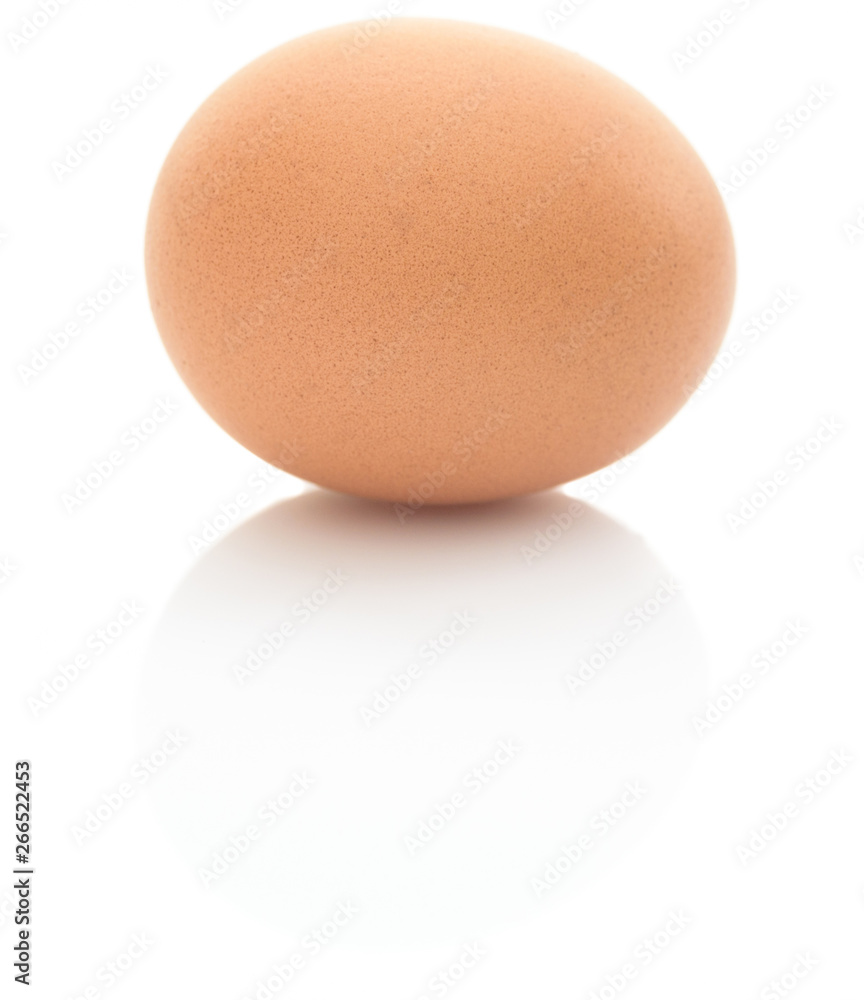 chicken egg on a white background close-up chicken egg on a white background close-up