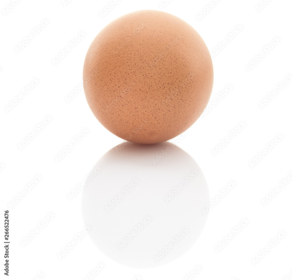 chicken egg on a white background close-up