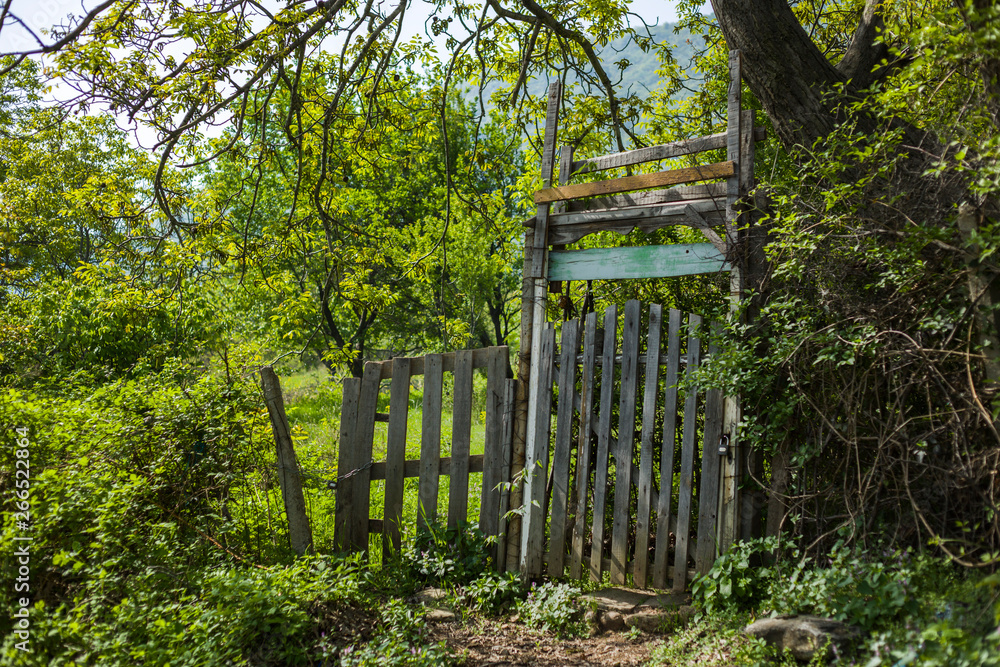 An old wooden door and a fence in a forest An old wooden door and a fence in a forest