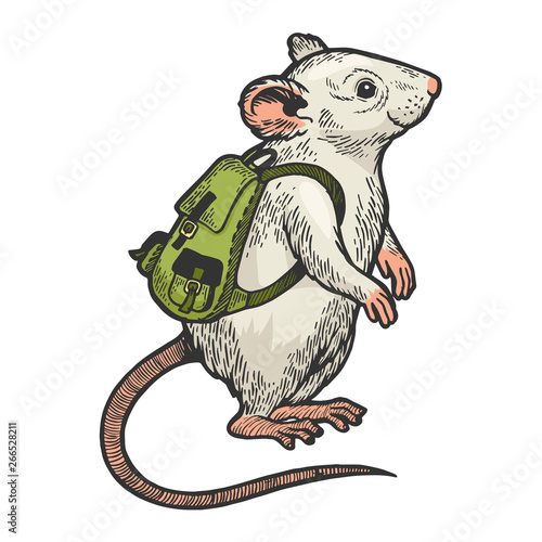 Cartoon mouse with backpack color sketch engraving vector illustration. Scratch board style imitation. Black and white hand drawn image.