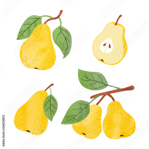 Set of watercolor pears. Ve...