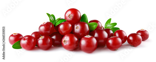 Cranberry with leaves isolated. Cranberries on white. Full depth of field.