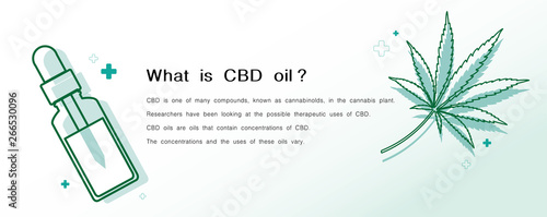what is CBD oil benefits,Medical uses for bcd oil and cannabis,vector infographic on white background.