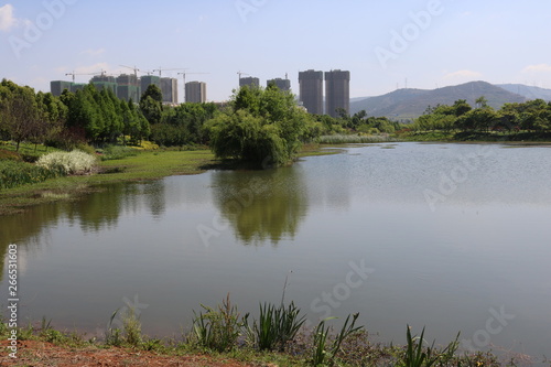 View of water swamp in Kunming