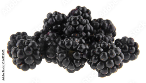 blackberry isolated on white background close up