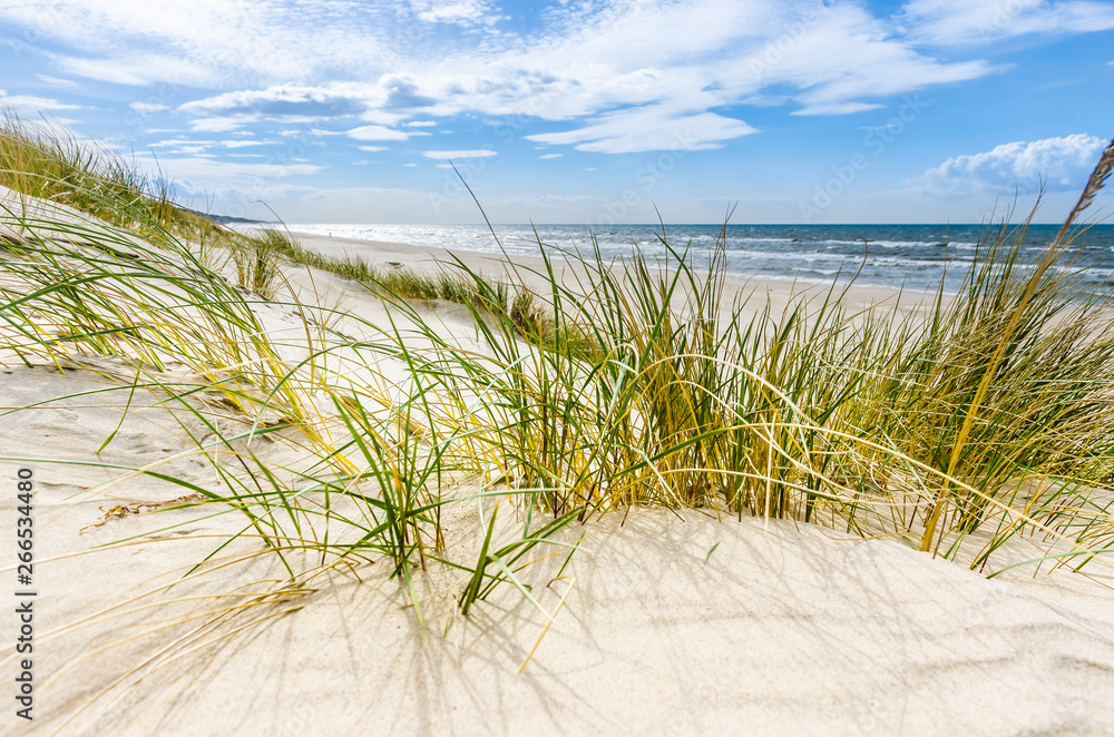 Obraz premium Pusta dzika plaża koło Mrzeżyna nad Bałtykiem w Polsce