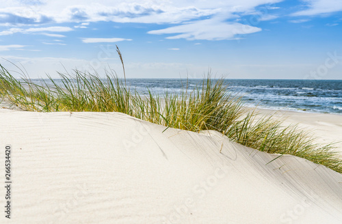 Pusta dzika plaża koło Mrzeżyna nad Bałtykiem w Polsce