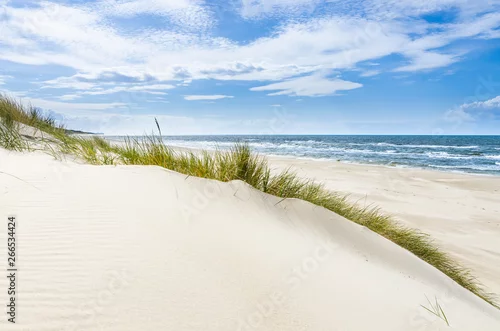 Obraz Pusta dzika plaża koło Mrzeżyna nad Bałtykiem w Polsce