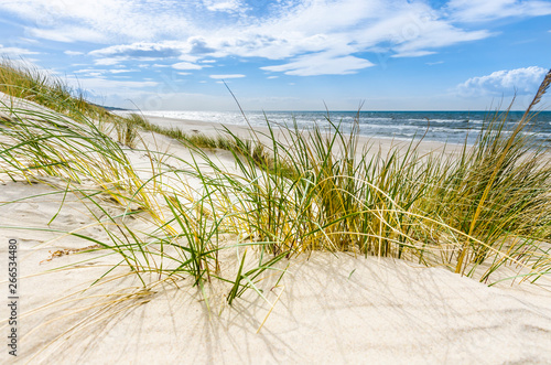 Pusta dzika plaża koło Mrzeżyna nad Bałtykiem w Polsce