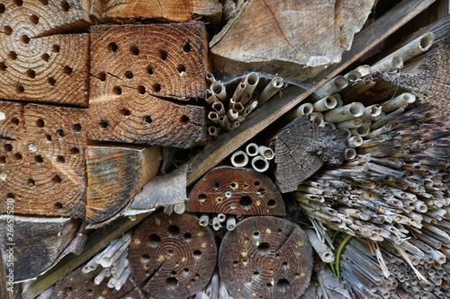 Insekten Bruthöhlen
