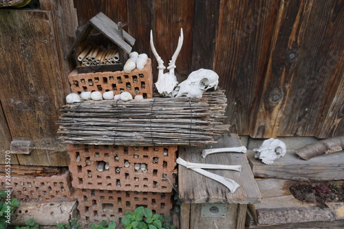 Fundstücke im Garten