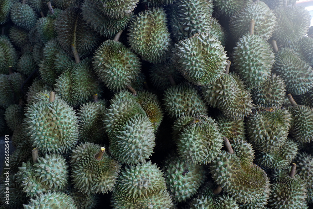 Durian, King of Tropical Fruits in Thailand and Southeast Asia. Durian, King of Tropical Fruits in Thailand and Southeast Asia.