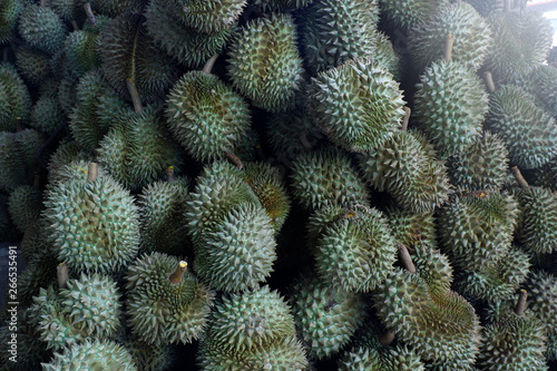 Durian  King of Tropical Fruits in Thailand and Southeast Asia.