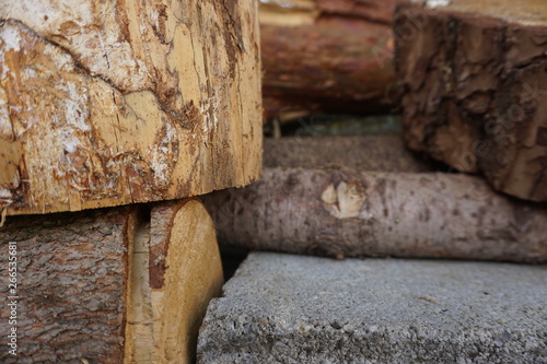 Holzstücke und Steine