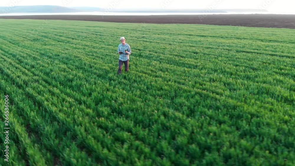 Farming concept: young man farmer walking green field aerial video. Spring planting and ploughing, agriculture industry. Farmer walking at sunset, drone flight. Farming concept: young man farmer walking green field aerial video. Spring planting and ploughing, agriculture industry. Farmer walking at sunset, drone flight.