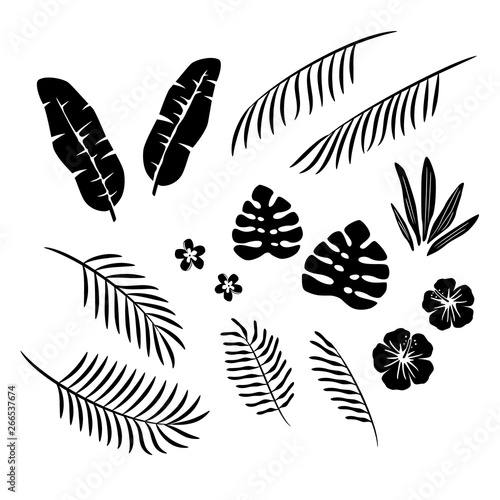 トロピカルな葉と花 シルエット Stock ベクター Adobe Stock