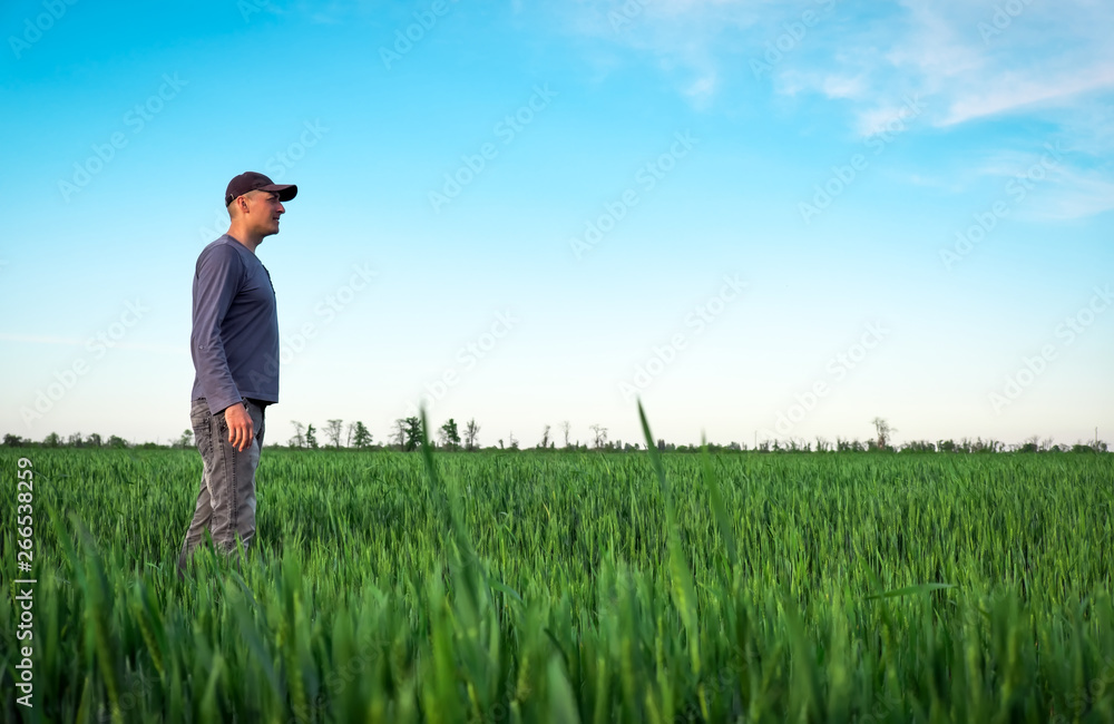 Handsome farmer. Young man walking in green field. Spring agriculture Handsome farmer. Young man walking in green field. Spring agriculture